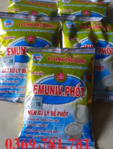 men xử lý bể phốt gia lai