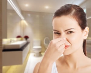 bồn cầu bị hôi